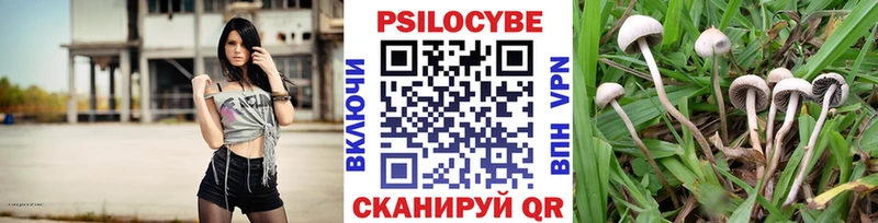 Галлюциногенные грибы GOLDEN TEACHER Адыгейск